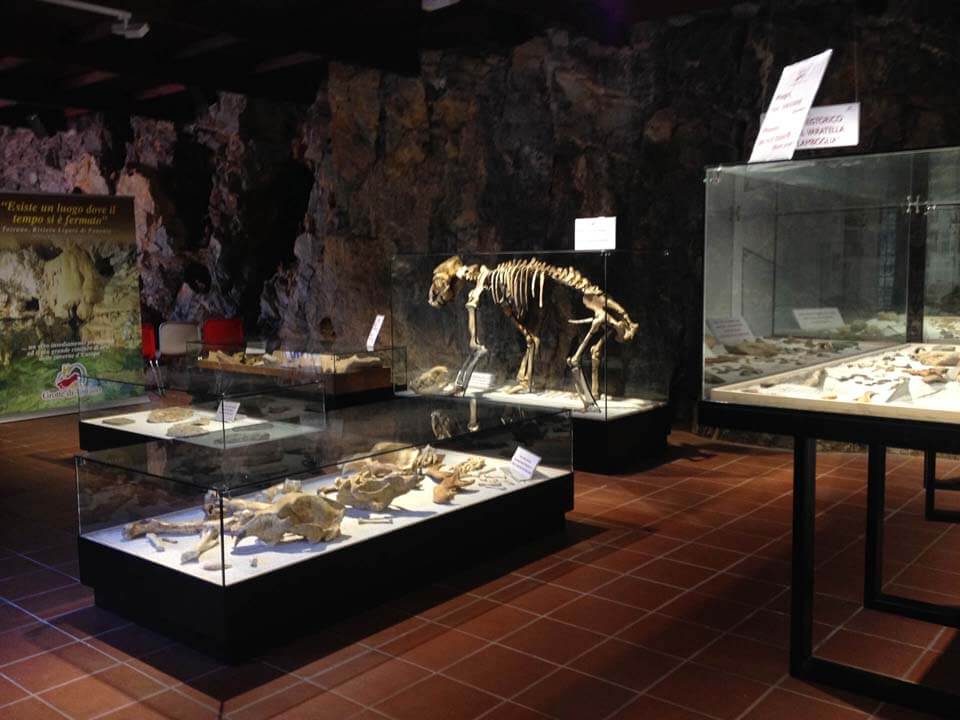 Toirano, Grotte di Toirano, Sala dei Misteri e Museo preistorico della Val Varatella 1